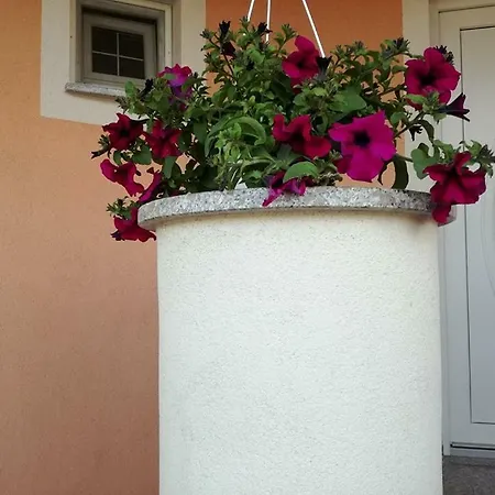 Apartment Relota Sveti Petar (Zadar)
